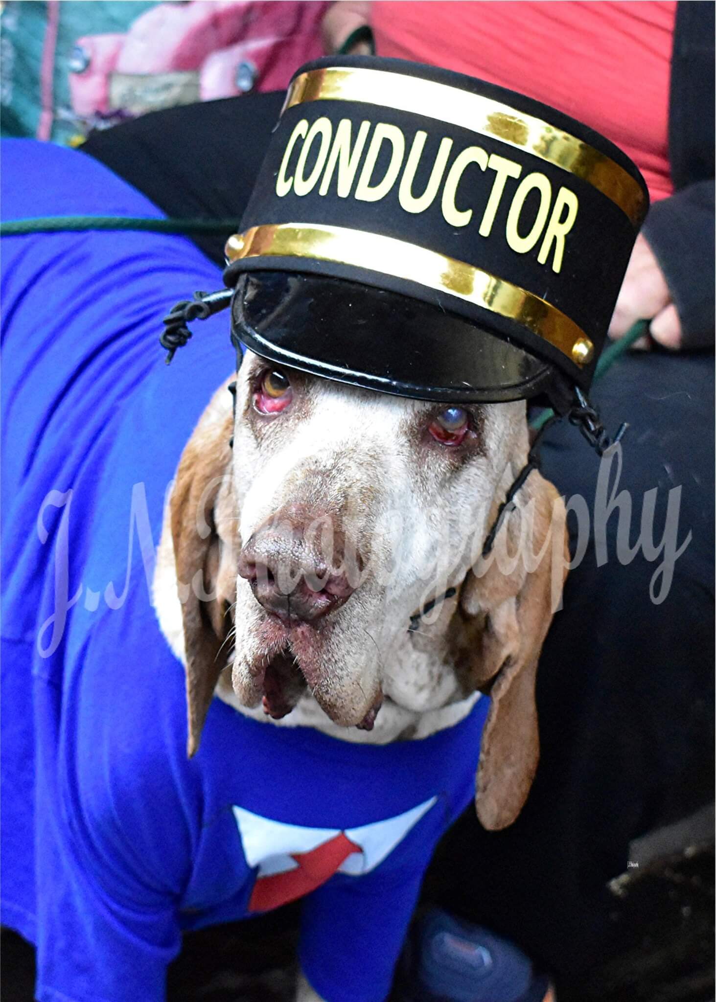 conductors with the honorary conductor dogs of the day