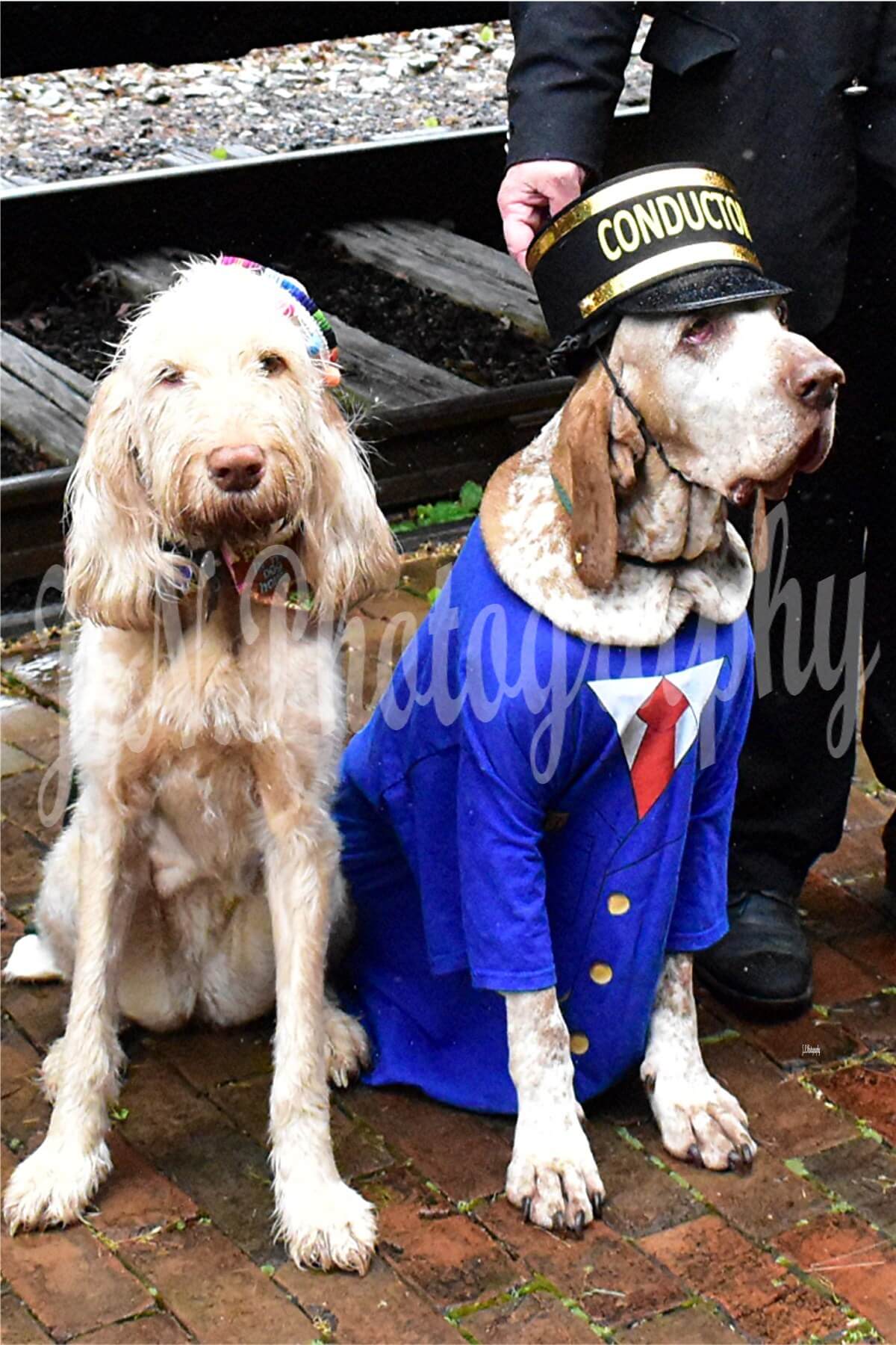 conductors with the honorary conductor dogs of the day